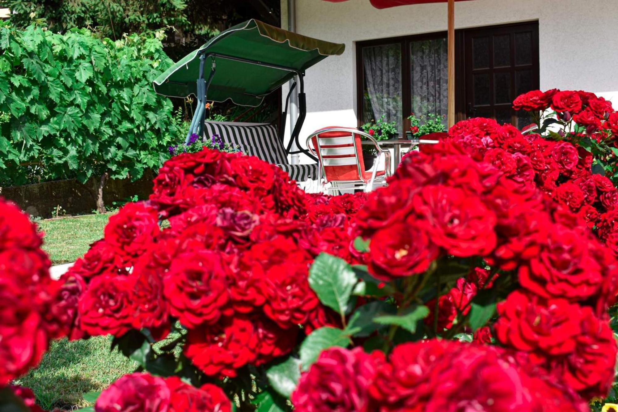 Apartmani "Vila Jelena" Arandjelovac Szoba fotó