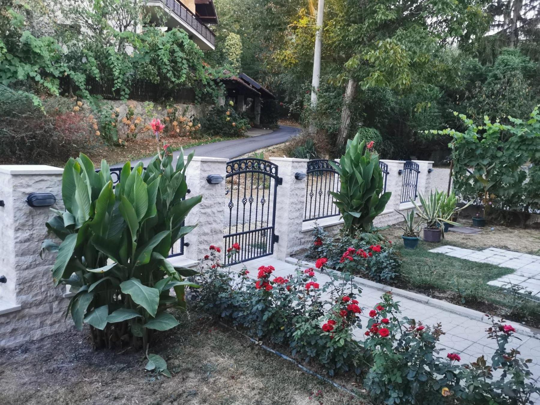 Apartmani "Vila Jelena" Arandjelovac Kültér fotó