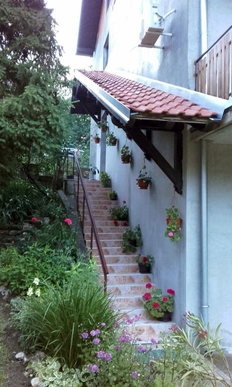 Apartmani "Vila Jelena" Arandjelovac Kültér fotó