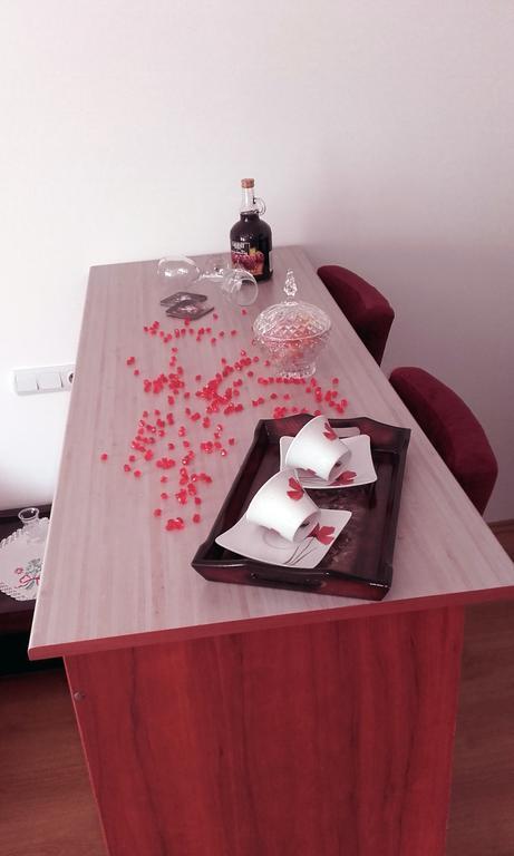 Apartmani "Vila Jelena" Arandjelovac Kültér fotó