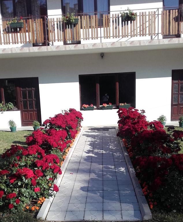 Apartmani "Vila Jelena" Arandjelovac Kültér fotó